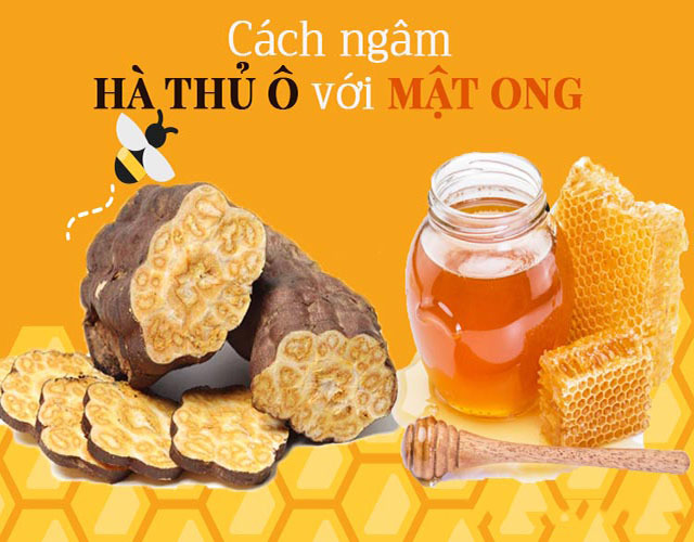 Cách ngâm rượu hà thủ ô với mật ong
