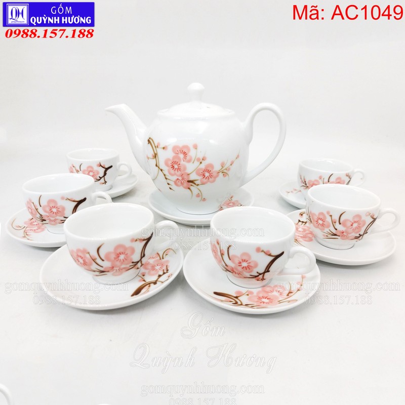 Bộ ấm chén uống trà giá rẻ mã AC1049