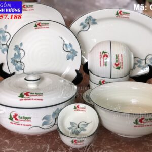 Bộ bát đĩa vẽ sen in logo Bệnh Viện Quốc Tế Thái Nguyên mã QT255